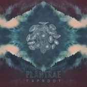 Taproot artwork