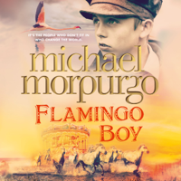 Michael Morpurgo - Flamingo Boy (Unabridged) artwork