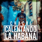 Calentando la Habana artwork