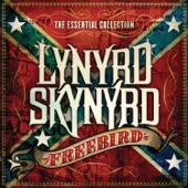 Lynyrd Skynyrd - Comin' Home　（Album Version）