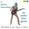 Mosaico: El Viejo Baúl, Atlántico - Pedro Jairo Garcés y su Guitarra Estereofónica lyrics