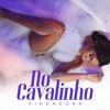 No Cavalinho - Single, 2017