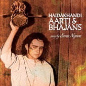 Haidakhandi - Aarti & Bhajans artwork
