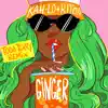 Ginger (Todd Terry Remix) - Single album lyrics, reviews, download