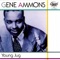 Baby, Won't You Please Say Yes - Gene Ammons lyrics