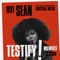 Testify (feat. Crystal Waters) [Superchumbo Dub] - Hifi Sean lyrics
