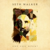 Seth Walker - Inside