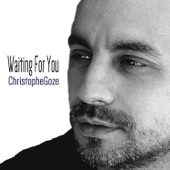 Waiting for You artwork