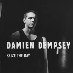 Seize the Day - Damien Dempsey