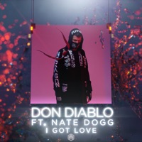 Don Diablo & Nate Dogg - I Got Love
