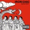 Spooky Action At a Distance - Iron Chic lyrics