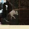 Hardly Art - Closer lyrics