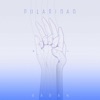 Polaridad - Single