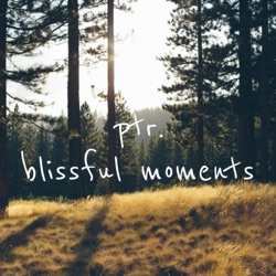 Ptr. - Blissful Moments