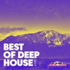 Best of Deep House 2017, 2017