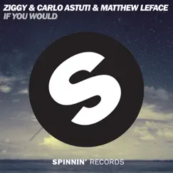 If You Would - Single by ZIGGY, Carlo Astuti & Matthew LeFace album reviews, ratings, credits