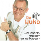 Je Leeft Maar Ene Keer artwork