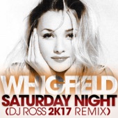 Saturday Night (DJ Ross 2K17 Remix) artwork