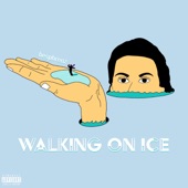 Walking On Ice artwork