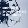 Second Toughest In the Infants (Remastered) album lyrics, reviews, download