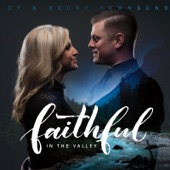 Faithful in the Valley artwork