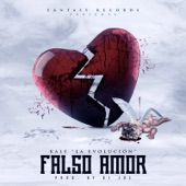 Falso Amor artwork
