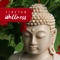 Mindful Meditation - Therapeutic Tibetan Spa Collection lyrics