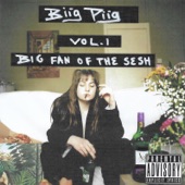 Big Fan of the Sesh, Vol. 1 - EP artwork