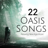 22 Oasis Songs: Relaxing New Age Music, Piano Music, Ambient Songs, Nature Sounds for your Wellbeing artwork