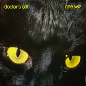 Doctor's Cat - Crash