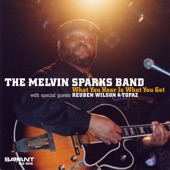 The Melvin Sparks Band - Another Joe