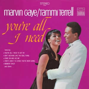Marvin Gaye & Tammi Terrell - You're All I Need to Get By - 排舞 编舞者