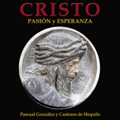 Cristo. Pasión y Esperanza artwork