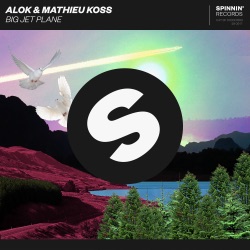Alok & Sevenn - Big Jet Plane