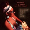 Bright Side of Life (feat. Timi Kullai)