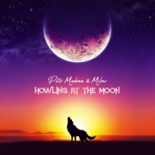 Howling at the Moon (feat. Milow) artwork