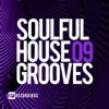 Soulful House Grooves, Vol. 09