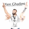 Yare Ghadimi (feat. Masoud Jahani) - Single