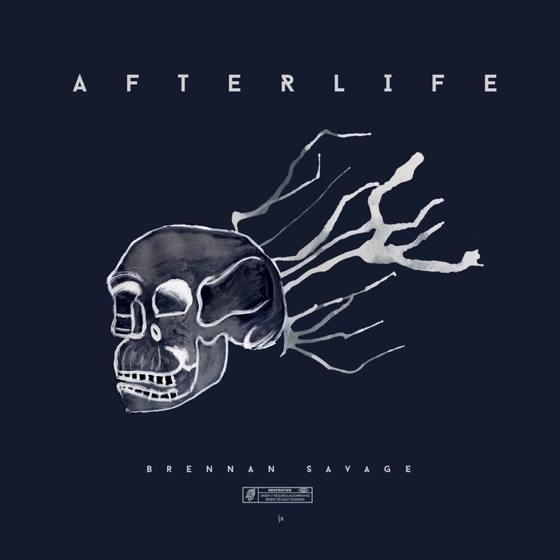 Cover artwork for Afterlife