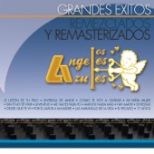 Grandes Éxitos Remezclados y Remasterizados: los Ángeles Azules artwork