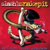 Slash's Snakepit - What Do You Want To Be