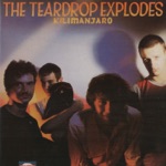 The Teardrop Explodes - Books