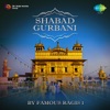 Shabad Gurbani by Famous Ragis, Vol. 1
