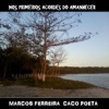 Nos Primeiros Acordes do Amanhecer