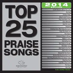 Top 25 Praise Songs (2014 Edition) by Various Artists album reviews, ratings, credits