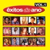 Êxitos do Ano Vol.1, 2008