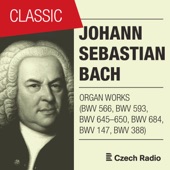 J. S. Bach: Organ Works artwork