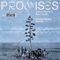 Promises (Sonny Fodera Extended Remix) - Single