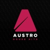 Austro House Hits 2017, 2017