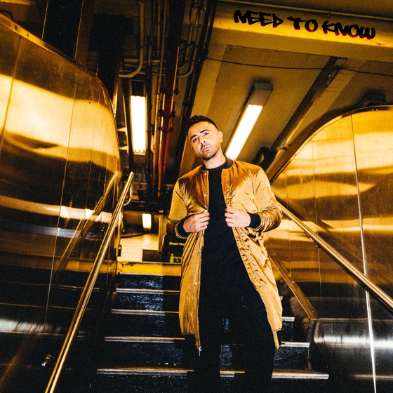 Cover artwork for Need to Know